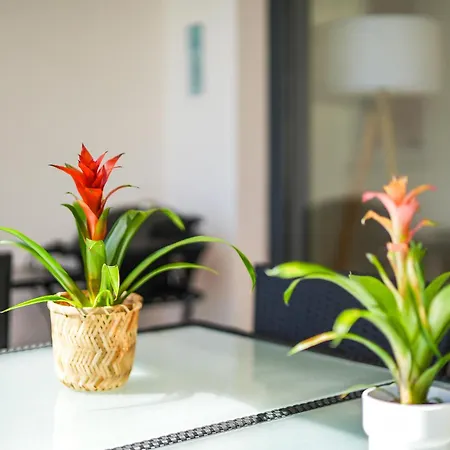 Apartamento Fernanda's Hideaway *