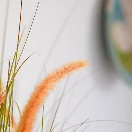 Fernanda's Hideaway Olhão